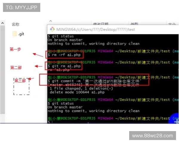 从零开始学习VTB直播的完整入门教程指南